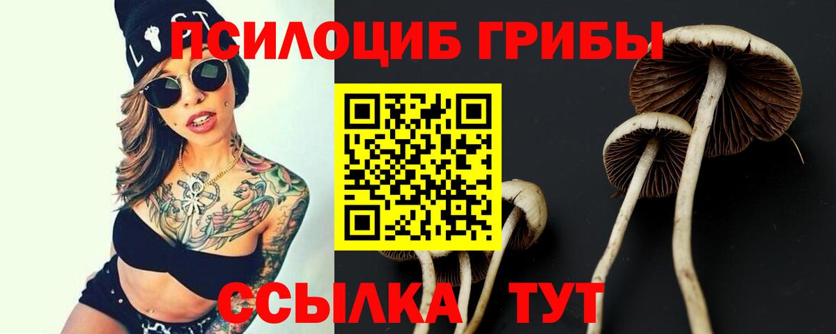 Галлюциногенные грибы прущие грибы Карабулак